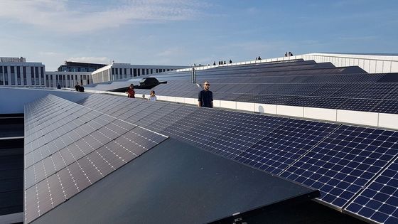 Mono-Perc Bifacial N Art Zellen 500W 520W 530W 540W 440w 144cells des Sonnenkollektor-100W 96